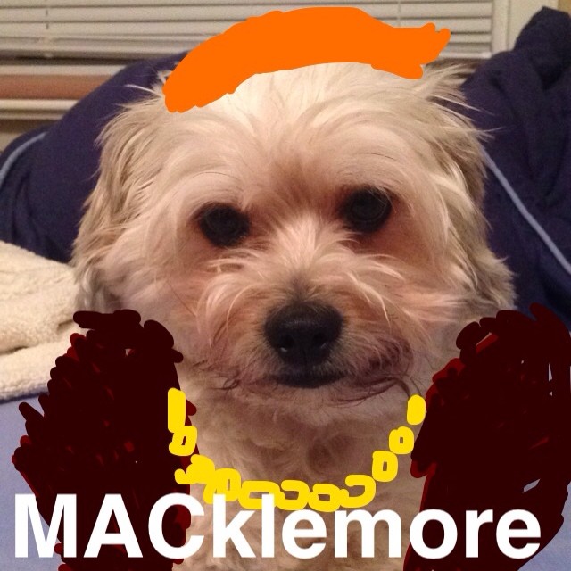 Funniest 2014 Grammy Memes