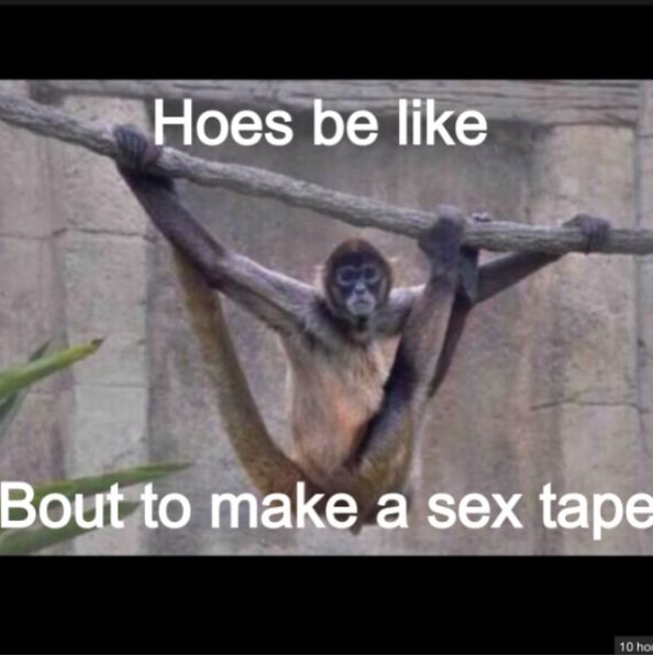 MiMi Faust Sex Tape Memes