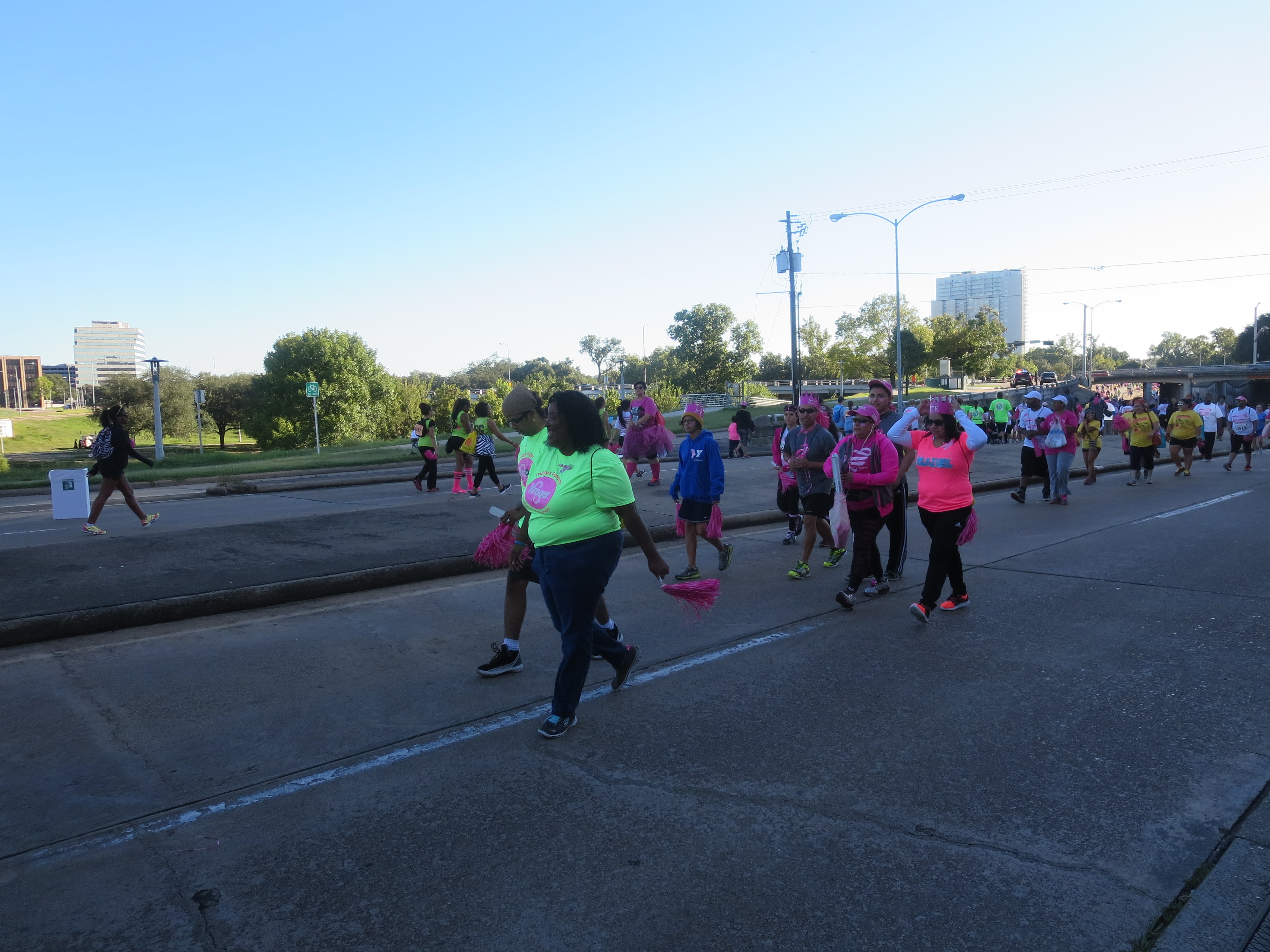 2014 Susan B Coleman Walk For The Cure Hosted By J Mac [PHOTOS]
