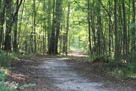 Cub Scouts Stumble Upon Nude Beach During Hike - 97.9 The Box