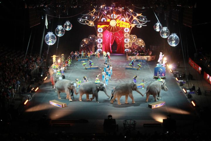 Suite Life At The CIrcus