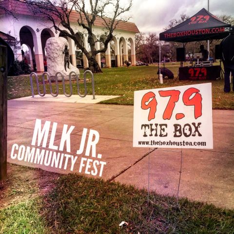 MLK BHS Community Fest
