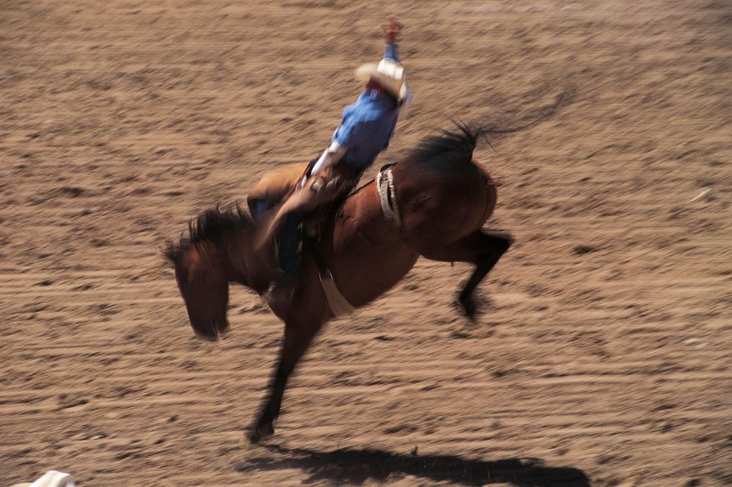Bronco busting at rodeo in Cheyenne, Wyoming