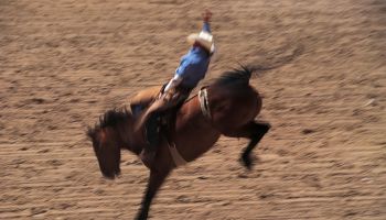 Bronco busting at rodeo in Cheyenne, Wyoming