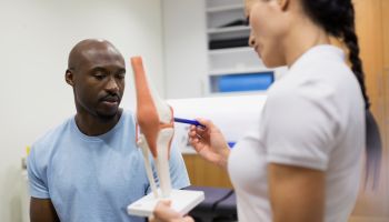 Physical therapist explaining knee model to patient