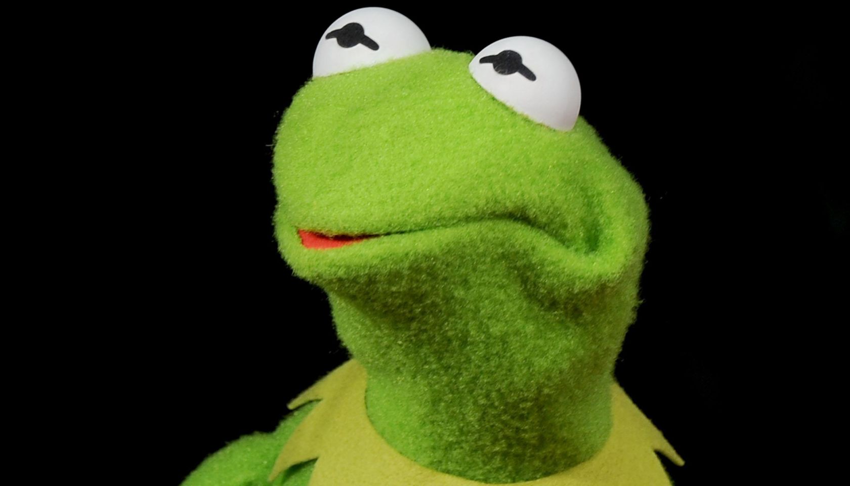 Disney's 'Muppets Most Wanted' - Los Angeles Premiere - Arrivals