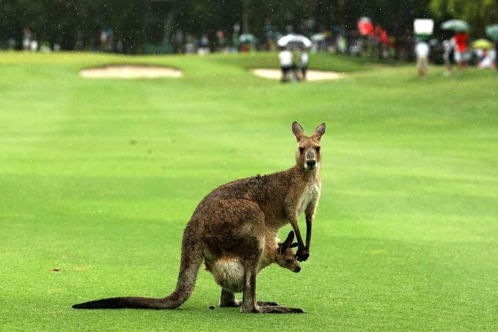 Australian PGA Championship - Day 4