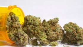 Medical marijuana and pill bottle