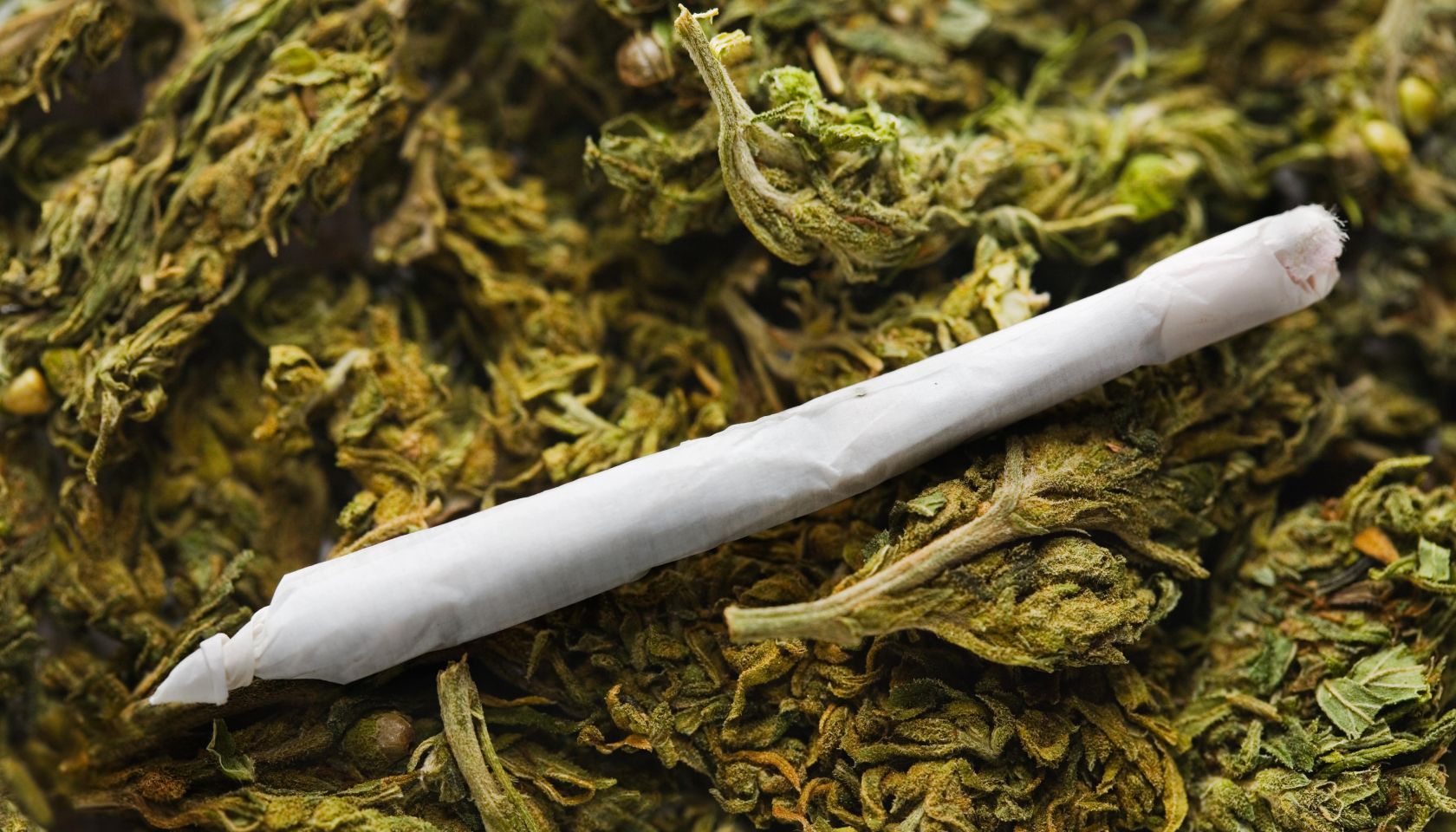 Reefer madness