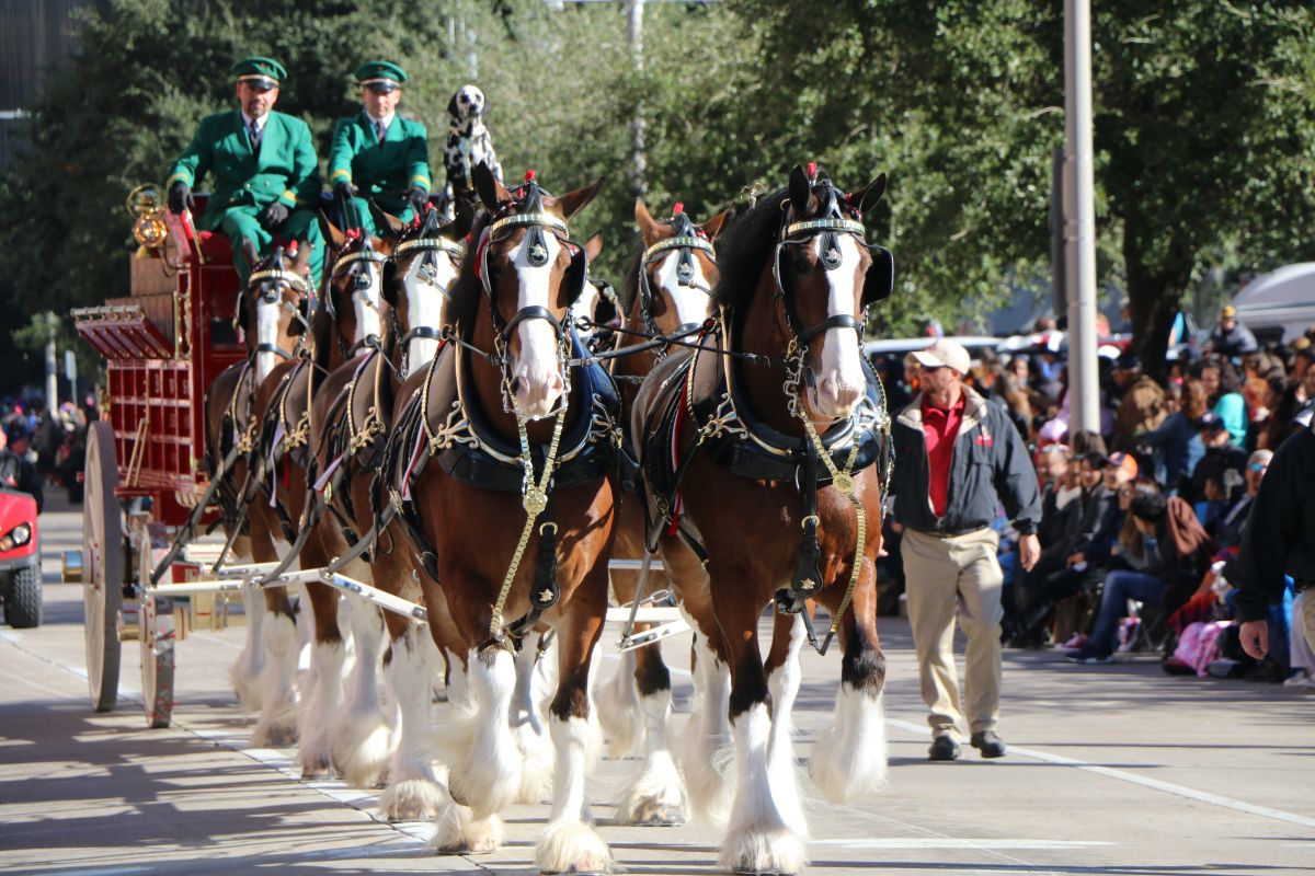HEB Thanksgiving Day Parade 2017