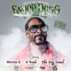 Snoop Dogg 25 Years Of Doggystyle