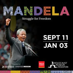 Mandela - Struggle for Freedom