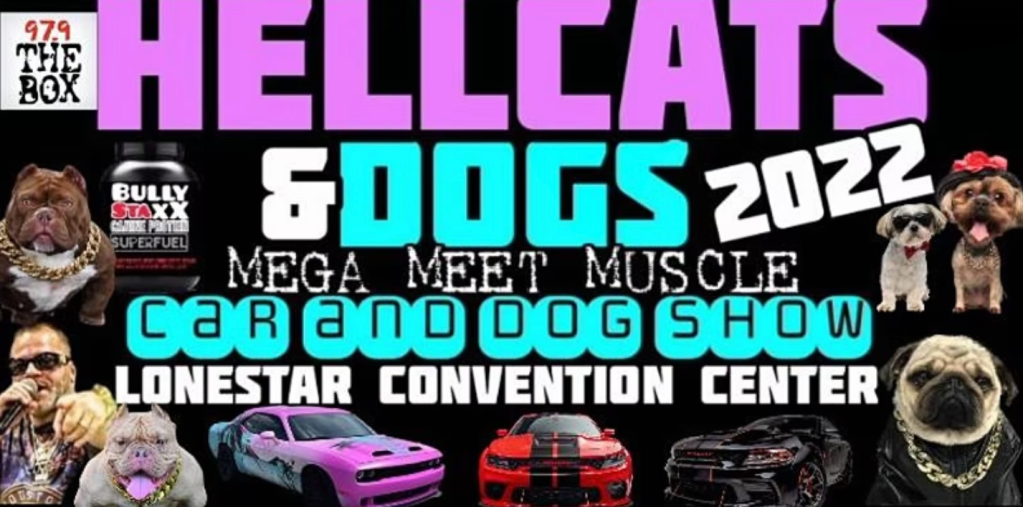 Hellcats & Dogs 2022