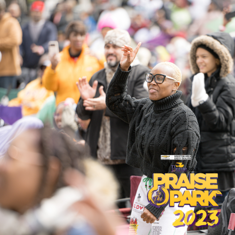 Praise in the Park Crowd Shot