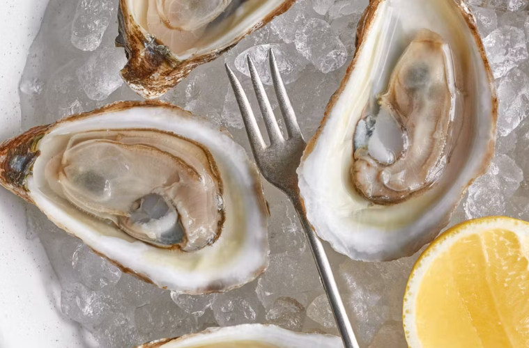 Daily Gather Military Discount | May 26