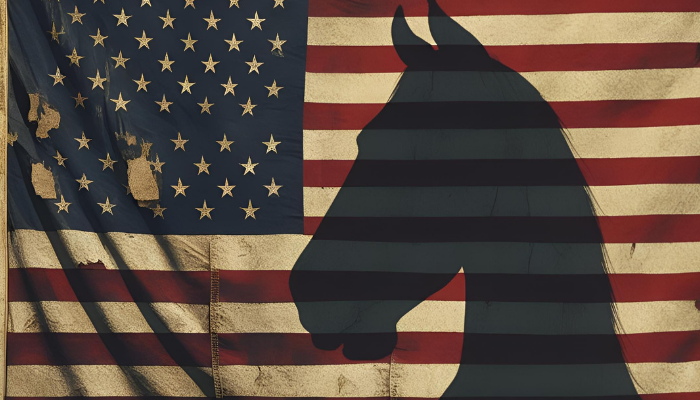 Horse with American Flag