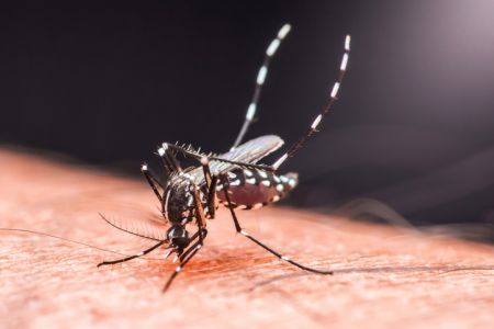 Insect repellent and sunscreen