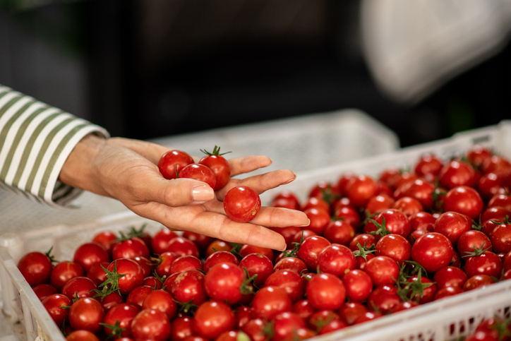 Farmers Market on Navigation | August 31