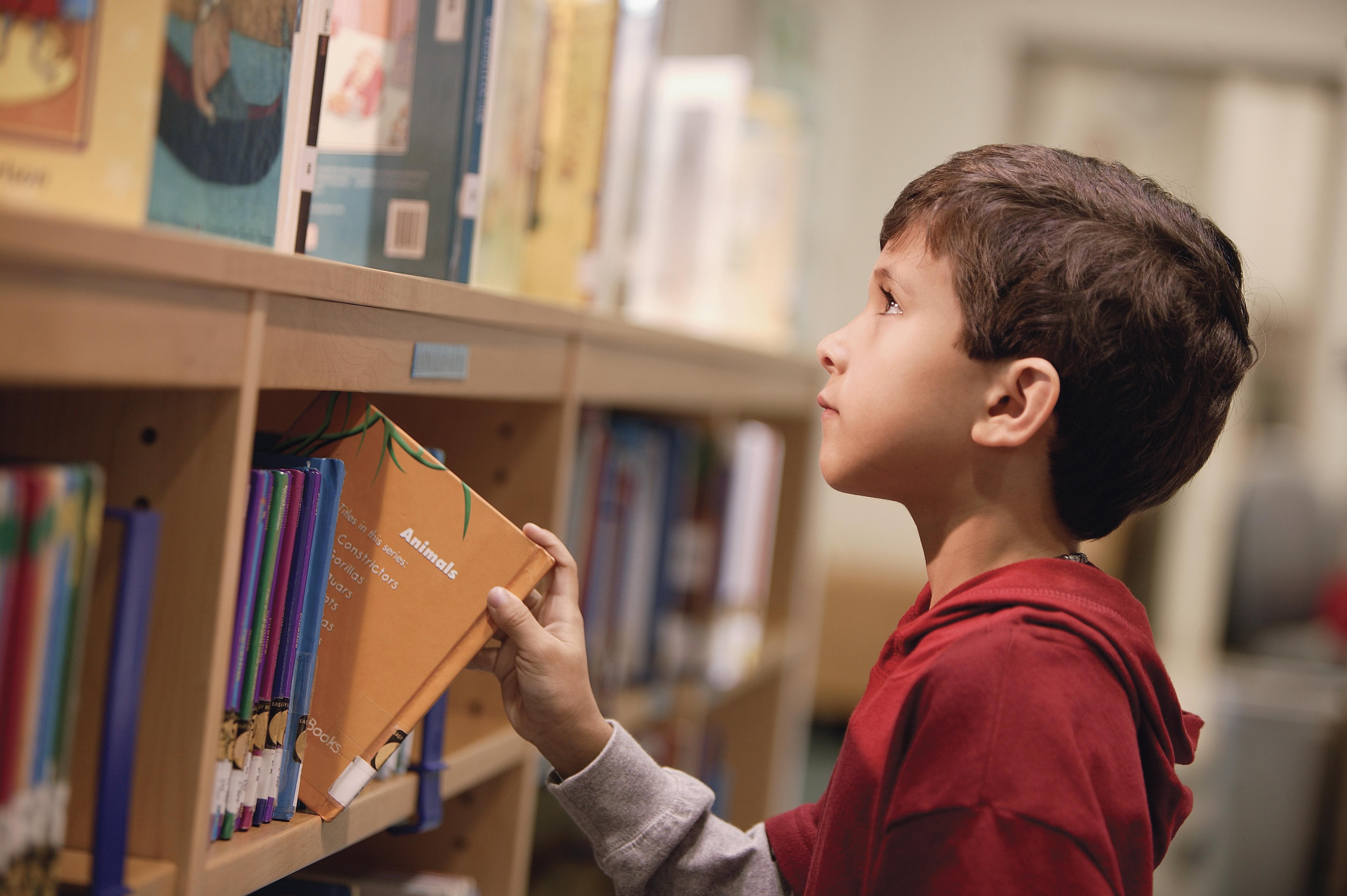 Little boy looking at books in library
