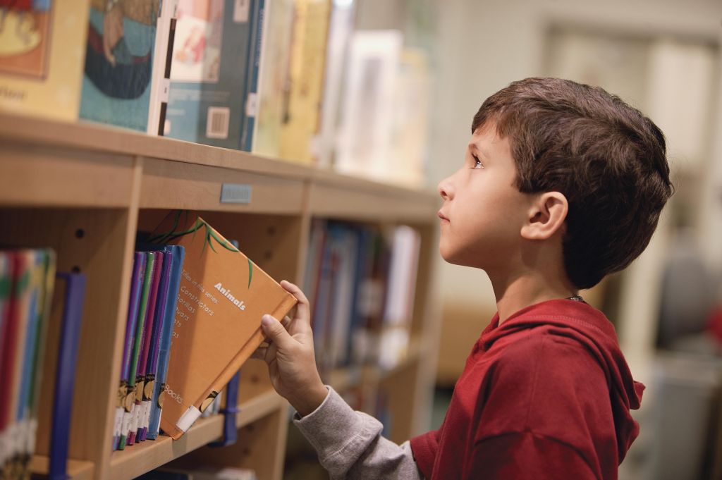 Little boy looking at books in library